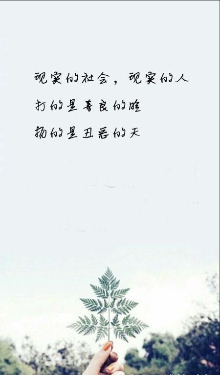 现实的社会虚伪的人心图片