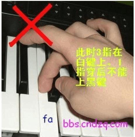 初学钢琴的8个指法图图片