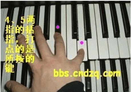 初学钢琴的8个指法图图片