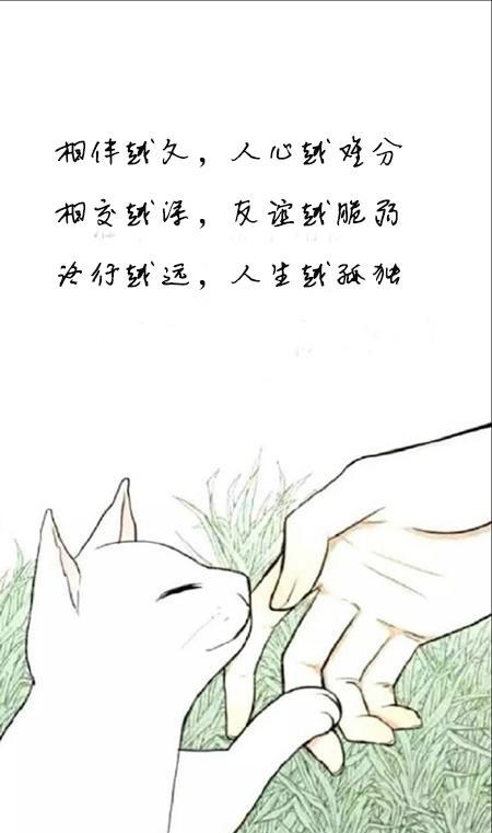 现实的社会虚伪的人心图片