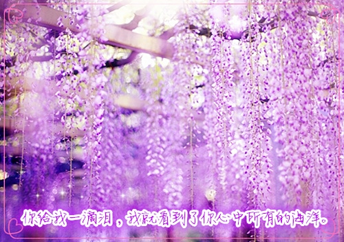 毕业季感谢<a href=http://www.buer123.com/zt/129.html target=_blank class=infotextkey>老师</a>的温暖话语