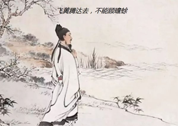 飞黄腾踏去,不能顾蟾蜍图片