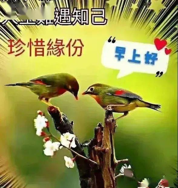 早上好2022 最新图片图片