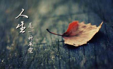 
4，如果人生只是一场梦，为何忘不掉初恋的感觉