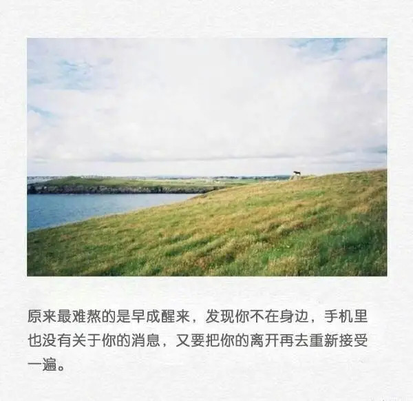 人生感悟句子句句入骨  句句说到心坎上的句子图片