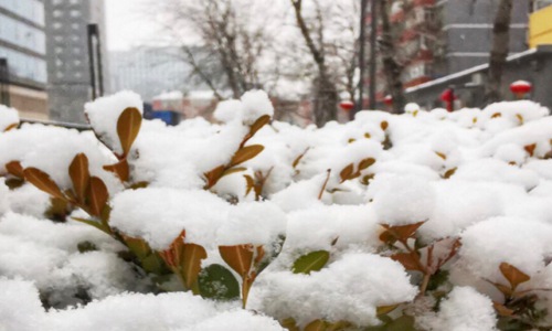 描写雪景的唯美句子 雪景发朋友圈配一句话遇见雪景好心情的文案