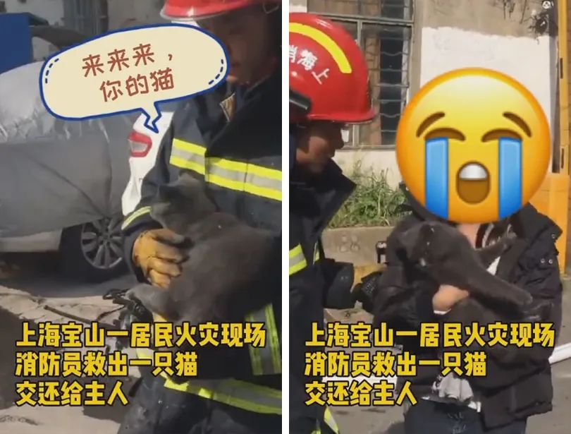 神回复：我坐前头给老公挡风图片