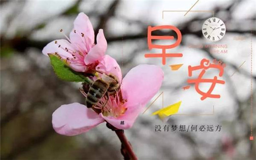 早安心语2021最新图片带字  早安图片2021新图片大全图片