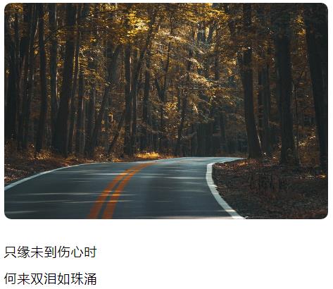 只缘未到伤心时 何来双泪如珠涌