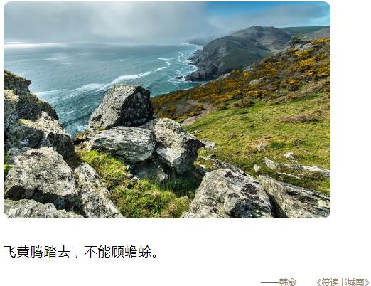 飞黄腾踏去,不能顾蟾蜍图片