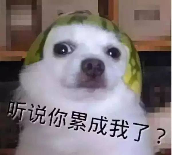 你以为自己累得像条狗,其实狗并没有你那么累图片带字
