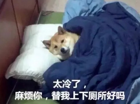 冷的图片可爱发抖搞笑图片图片