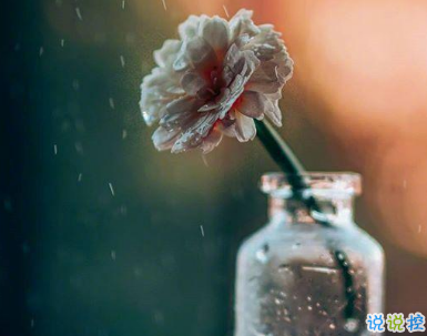 下雨天感慨抖音短句伤感句子 心情就像下雨天的抖音短句