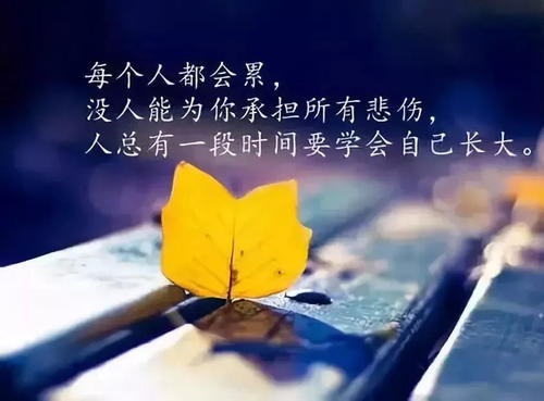 男儿有泪不轻弹,只是未到伤心时图片