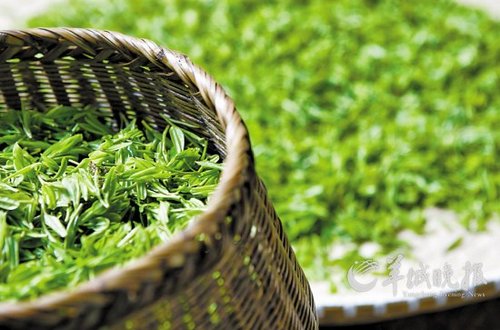 一人一茶一心境的句子 以茶会友简短唯美句子图片