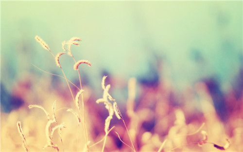 赞美教师节的语句