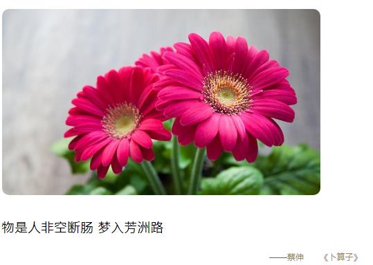 物是人非空断肠,梦入芳洲路