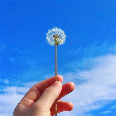 给人一种阳光温暖的头像图片
