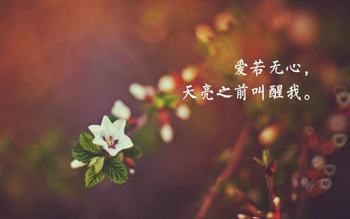 
4、行动是成功的阶梯，行动越多，登得越高