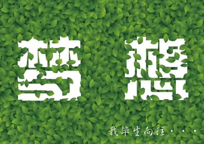 高情商早安问候方式，高情商说早安