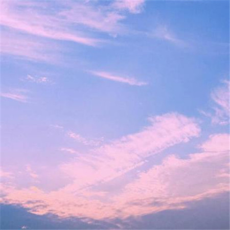 微信头像简约小清新干净图片