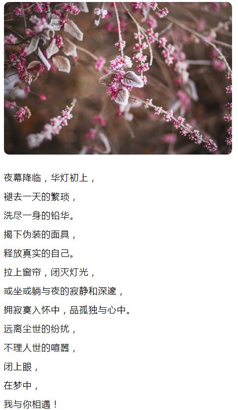 夜幕降临，华灯初上， 褪去一天的繁琐， 洗尽一身的铅华