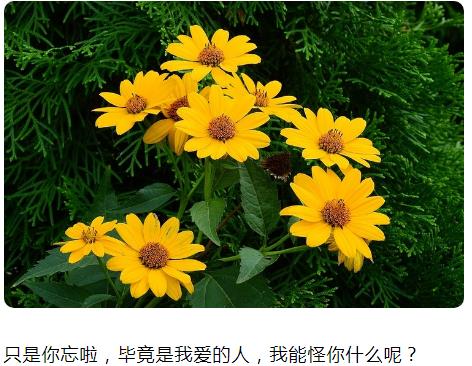 毕竟是我爱的人 我能够怪你什么