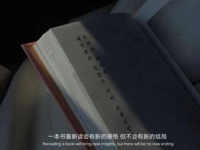 一本书重新会有新的感悟 但不会有新的结局