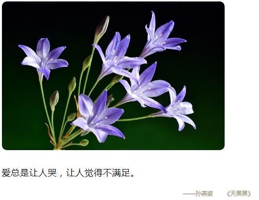 爱总是让人哭让人觉得不满足图片