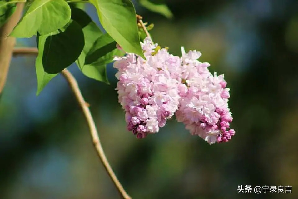 且行且珍惜的经典句子 感慨人生不易的句子图片