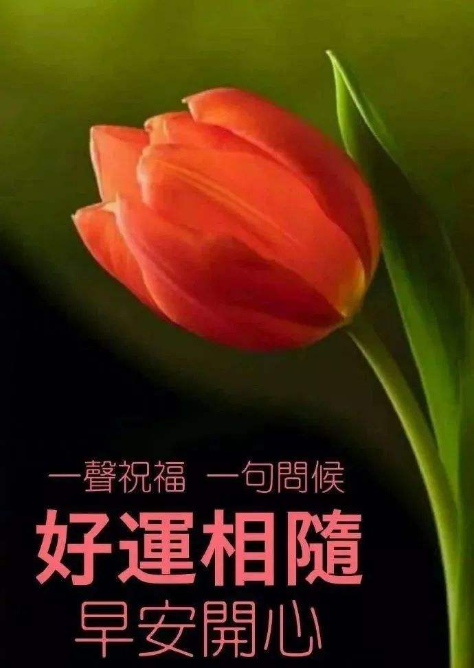 早上好图片 最新图片2022风景图片
