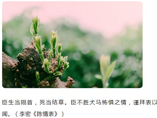 臣生当陨首死当结草臣不胜犬马怖惧之情谨拜表以闻