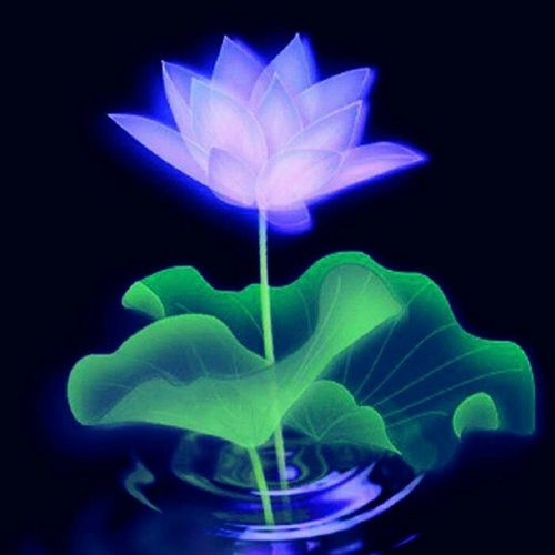 微信头像简约小清新干净图片