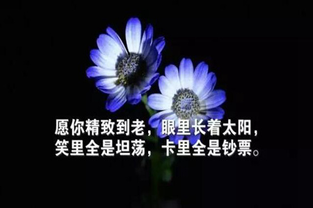 经典的人生哲理句子 不要把心里的话都掏出来，这些是你的财富