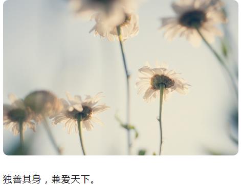 独善其身兼爱天下