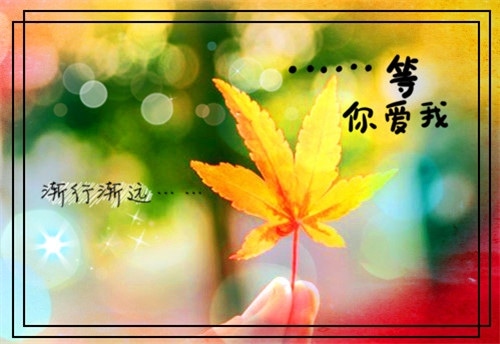 520自己一个人的说说短句 适合在520发的单身说说短句