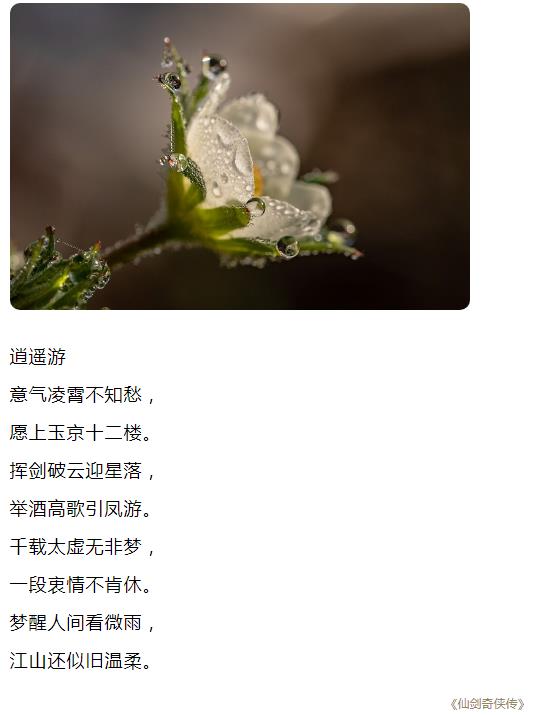 愿上玉京十二楼图片