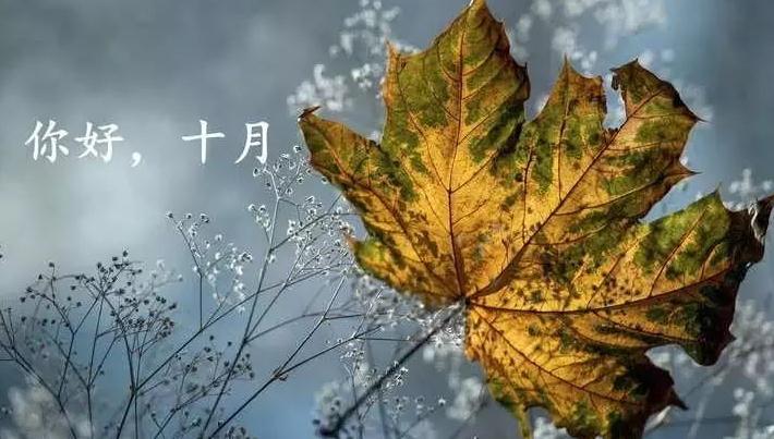 你好十月的说说短句配图_十月你好的励志说说短句_十月你好图片