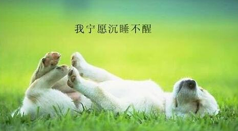 
6、上了大学才知道，很多东西是可遇而不可求的，很多东西你只能拥有一次