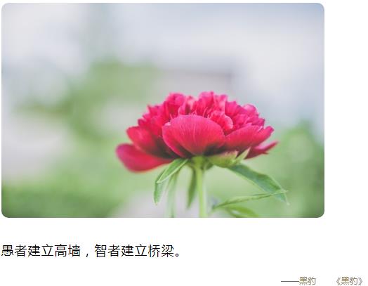 愚者建墙,智者建桥