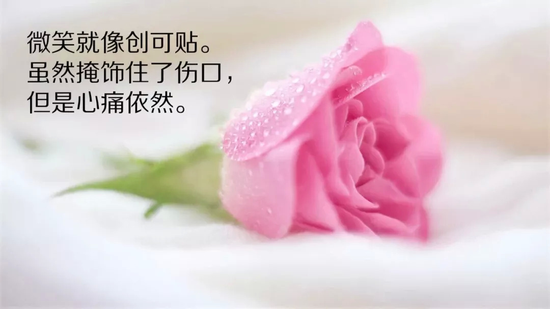 一段很现实的话 句句深入人心的经典句子图片