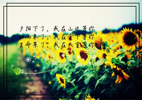 毕业季感谢<a href=http://www.buer123.com/zt/129.html target=_blank class=infotextkey>老师</a>的温暖话语