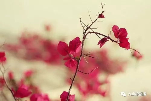 周末客户温馨问候短信 发客户周末愉快的信息图片