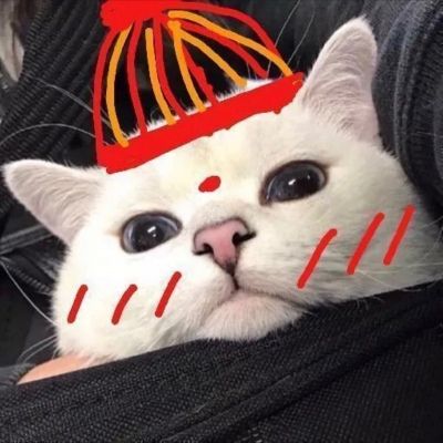 卡哇伊小猫咪超可爱头像图片