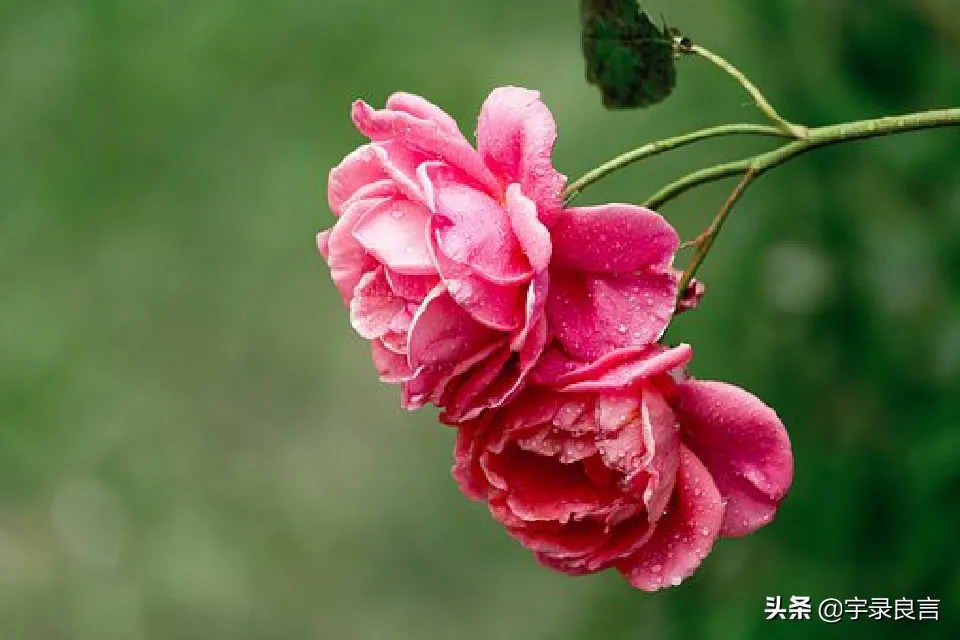 且行且珍惜的经典句子 感慨人生不易的句子图片