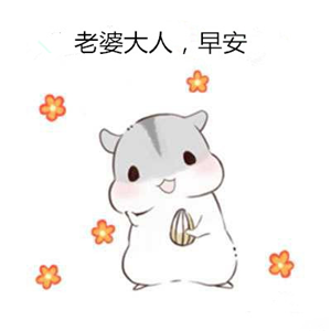 老婆早安表情包  老婆早上好问候图片图片