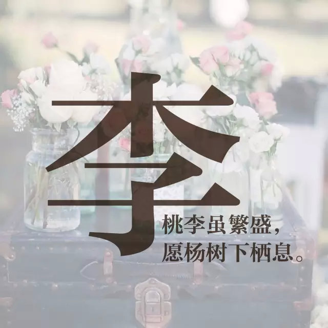 李姓图片：桃李虽繁盛，愿杨树下栖息。
