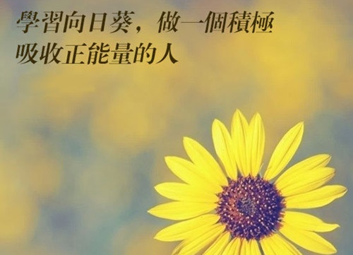 努力奋斗的优美语句 付出努力的精美句子