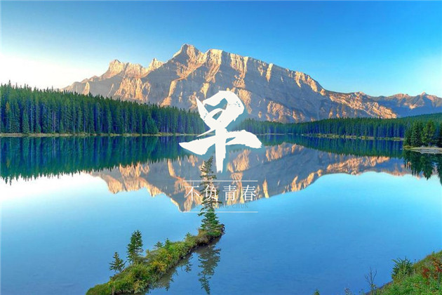 向日葵早安心语正能量图片 不要去等待完美的时刻，把握好现在，让此刻变完美