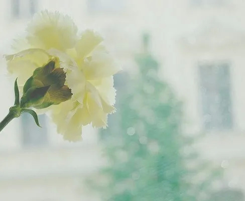 祝病人手术顺利的祝福 鼓励病人加油的经典语句图片